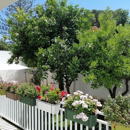 Mondello Beach The House With Green Lawns Villa ภายนอก รูปภาพ