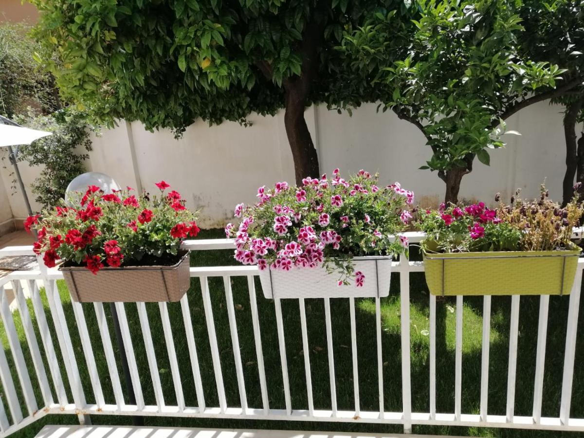 Mondello Beach The House With Green Lawns Villa ภายนอก รูปภาพ