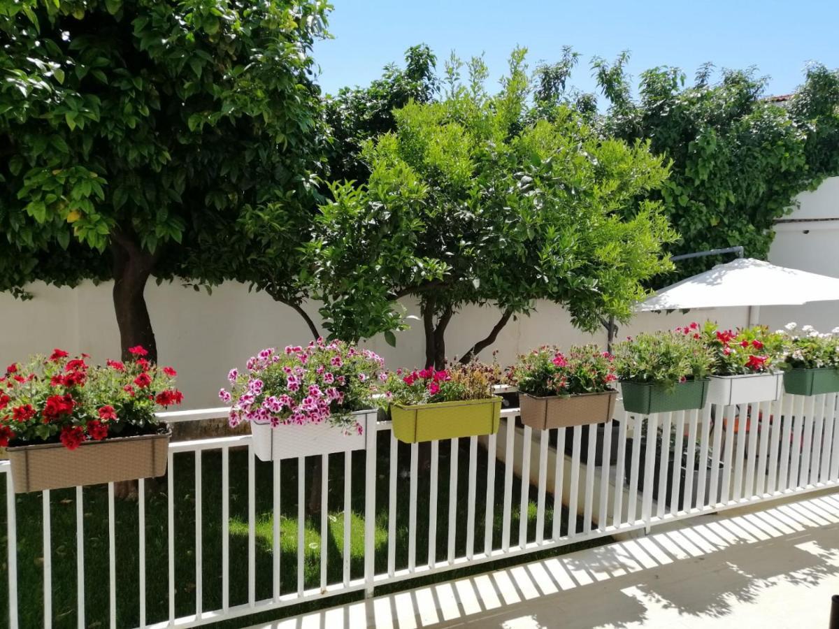 Mondello Beach The House With Green Lawns Villa ภายนอก รูปภาพ